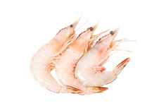 Fresh Prawn