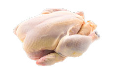 Poultry